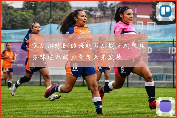深圳排球队的崛起与挑战分析聚焦排球运动的力量与未来发展