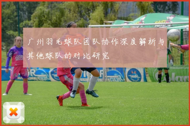 广州羽毛球队团队协作深度解析与其他球队的对比研究
