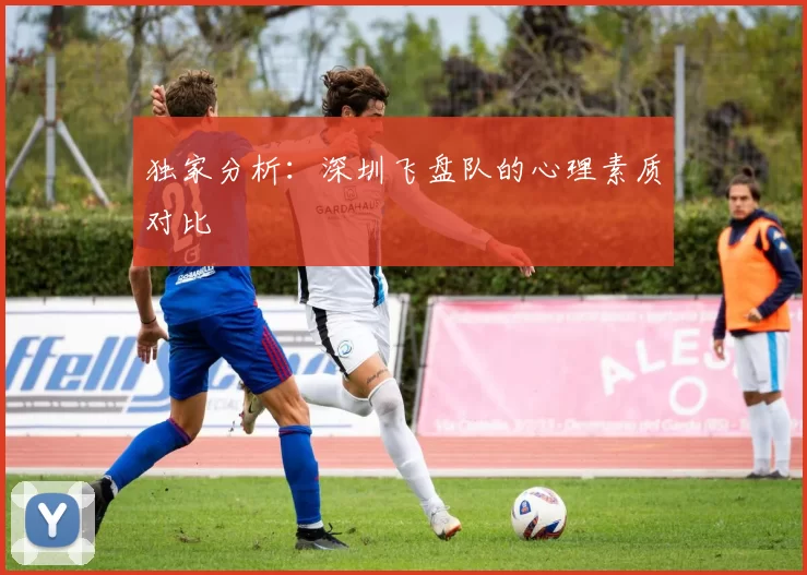 独家分析：深圳飞盘队的心理素质对比