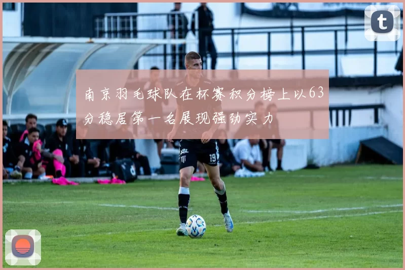 南京羽毛球队在杯赛积分榜上以63分稳居第一名展现强劲实力