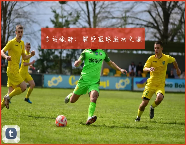 专访张静：解密篮球成功之道