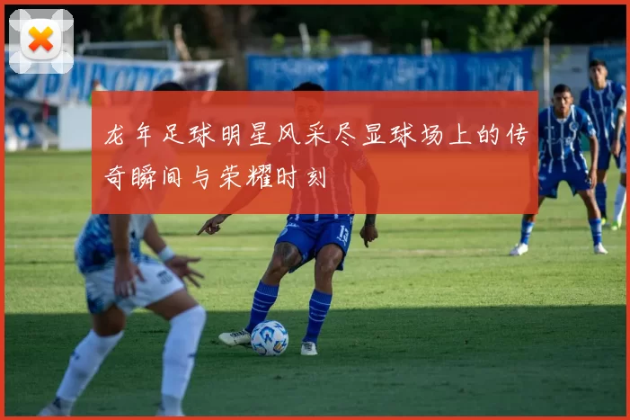 龙年足球明星风采尽显球场上的传奇瞬间与荣耀时刻