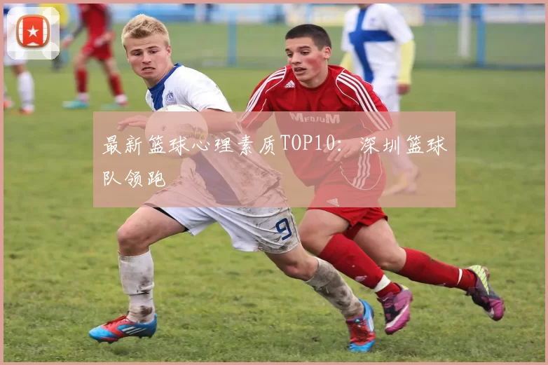 最新篮球心理素质TOP10：深圳篮球队领跑