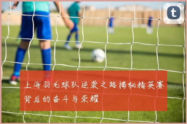 上海羽毛球队逆袭之路揭秘精英赛背后的奋斗与荣耀