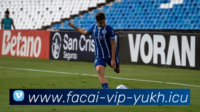 开云体育注册平台生态图