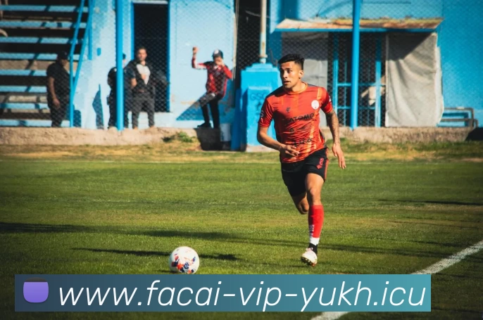 开云体育注册APP 封面图